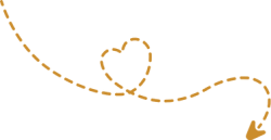 seta